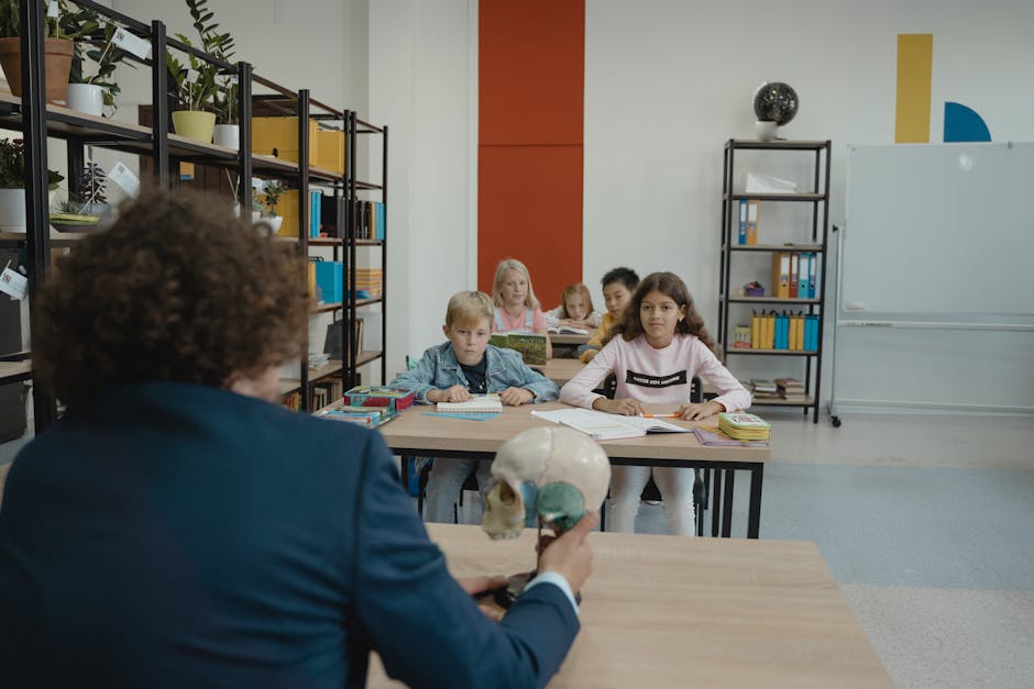 Children learn biology in a colorful classroom setting with a teacher explaining a skull model